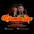 Nitembezee by Gabiro Mtu Necessary ft kidis