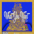 Ebi-D-What-You-Want-Prod.-By-Kronik