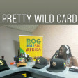 (Radio) Pretty Wild Card