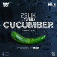 Cucumber x tufresh