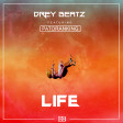 LIFE - DREY BEATZ FT PATORANKING